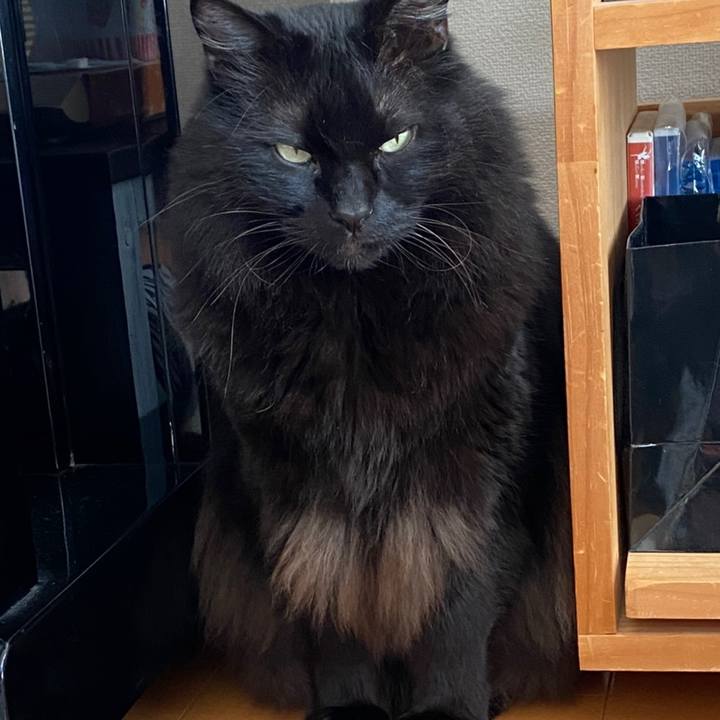 46f7425d 61a5 46f5 bf5e 5b834fe1b38b 1609420010198