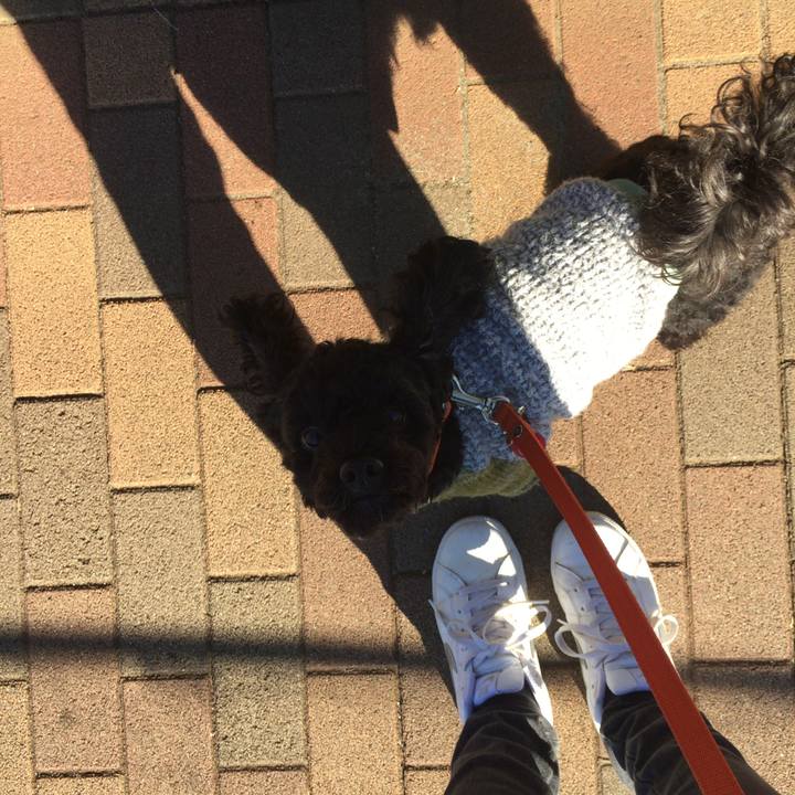 46f7496e 6e42 469a b810 04c507490880 1515066969629