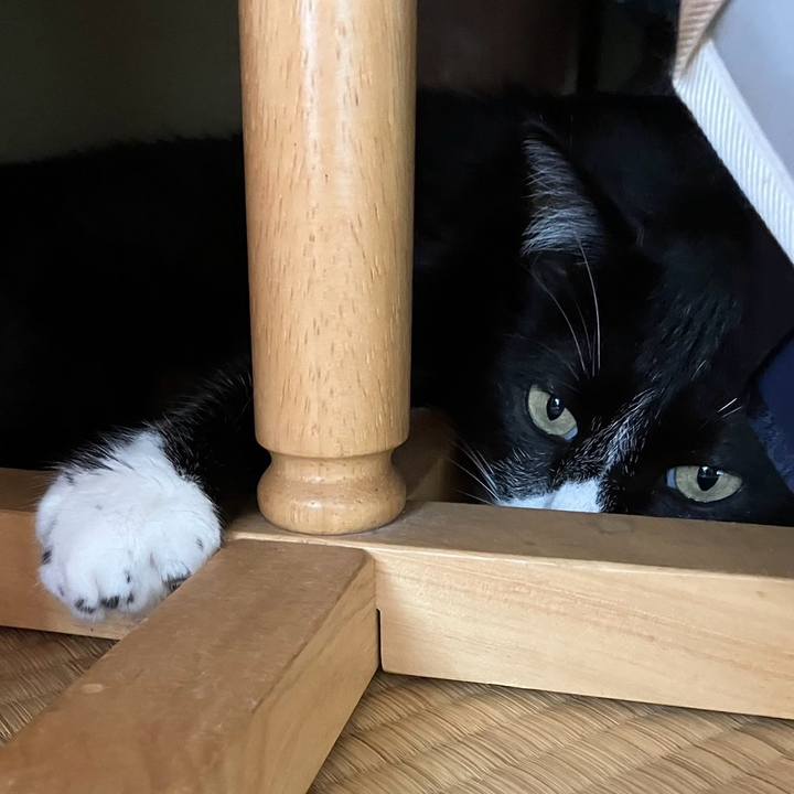 46f756c1 0f6a 47e0 bf19 1360f9b62566 1721707097251