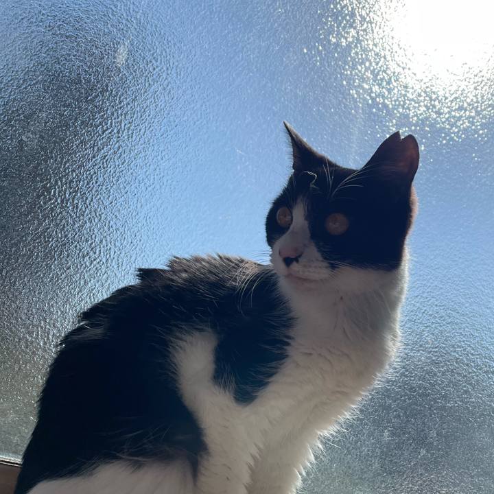 46f78183 849e 415d 8aa0 632480715fa4 1677477194158