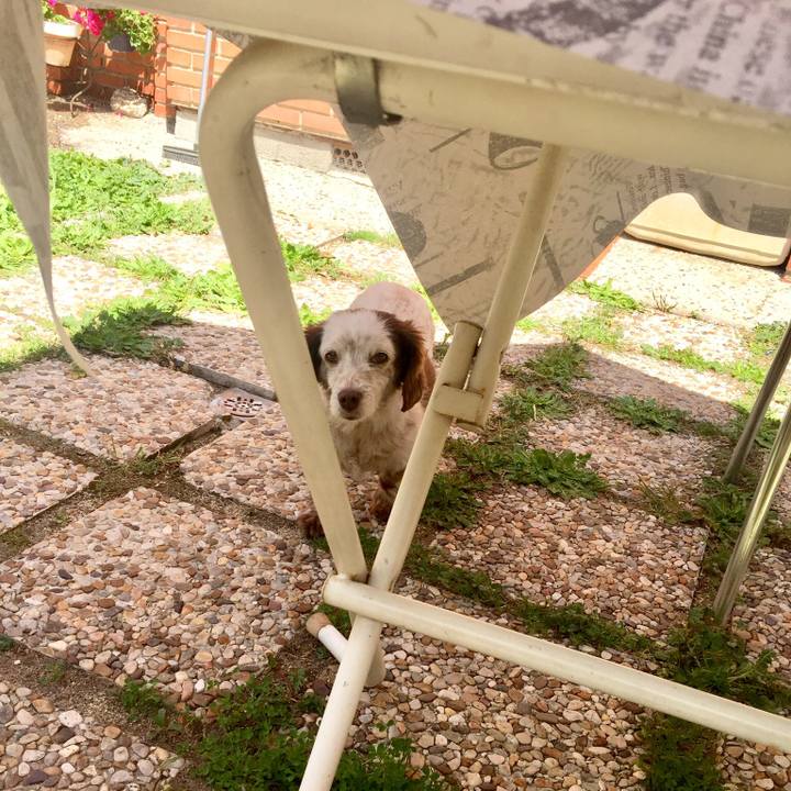 46f78ff6 d7bf 403d a63a e2875a2f6334 1525195973877