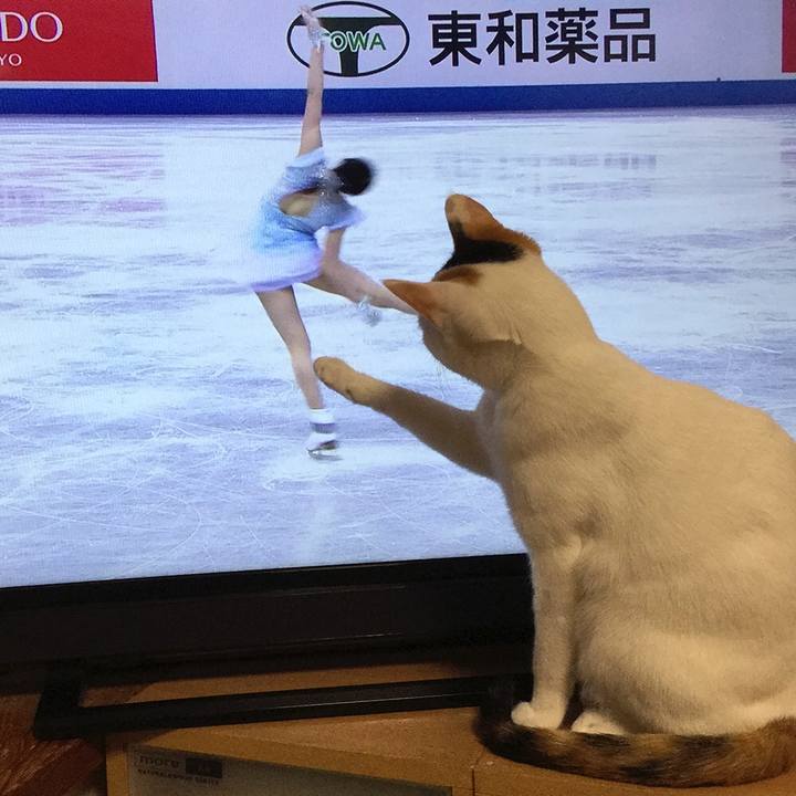 46f7bb93 5298 47f0 8c1b 4f019f1a4c20 1572305441127