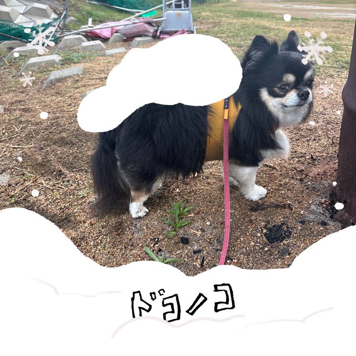 46f7bdc1 37f9 4f1f b5e3 a5098f95549f 1772006862827