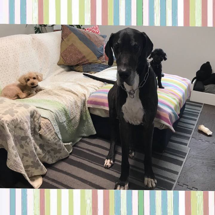 46f7c33f 5b3f 42db 8023 8cf9b4eca3ab 1531348705713