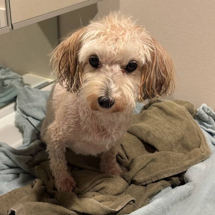 46f7df83 d69f 4eb4 9a7c 82a1e8287494 1760913914305