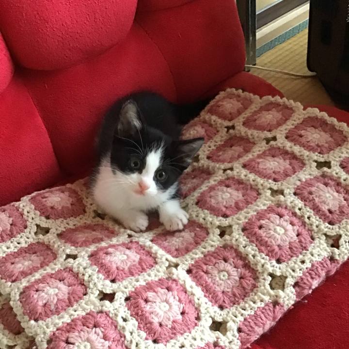 46f7f1c7 eeec 4d3b a1e5 418fa26b70e8 1623628549715