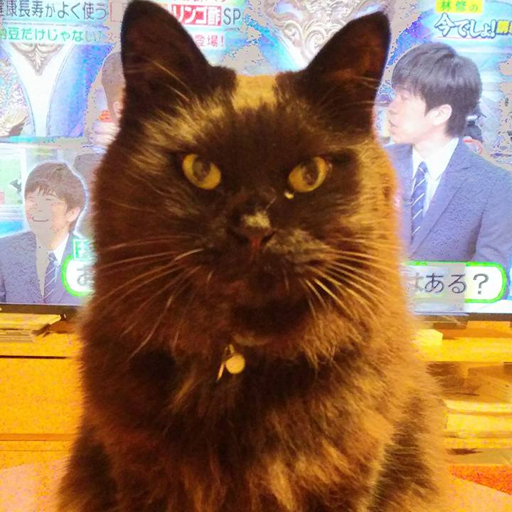 46f7fba3 57c9 4b90 bc2a 7bcb5acbdfd7 1523959453333