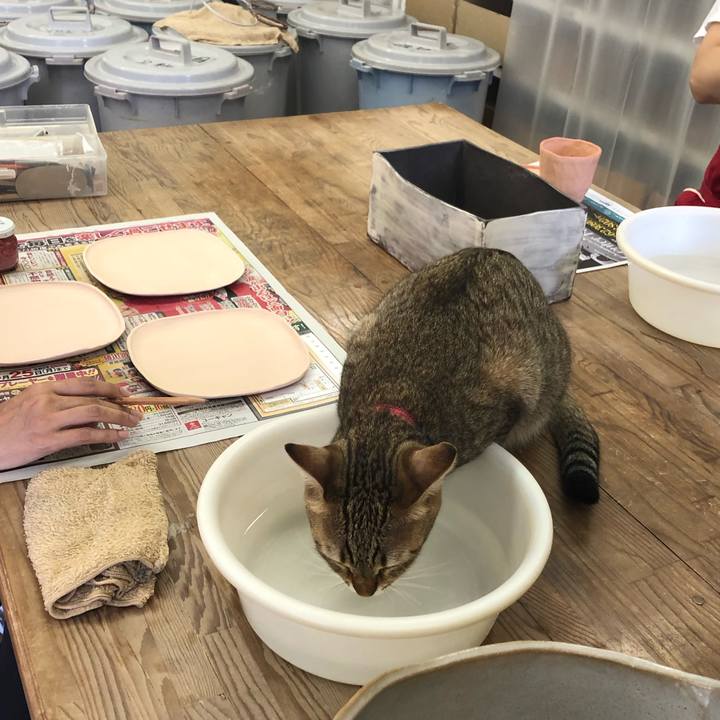 46f8032a 5dbe 4dbc a760 58d617eb8c9b 1599711421143