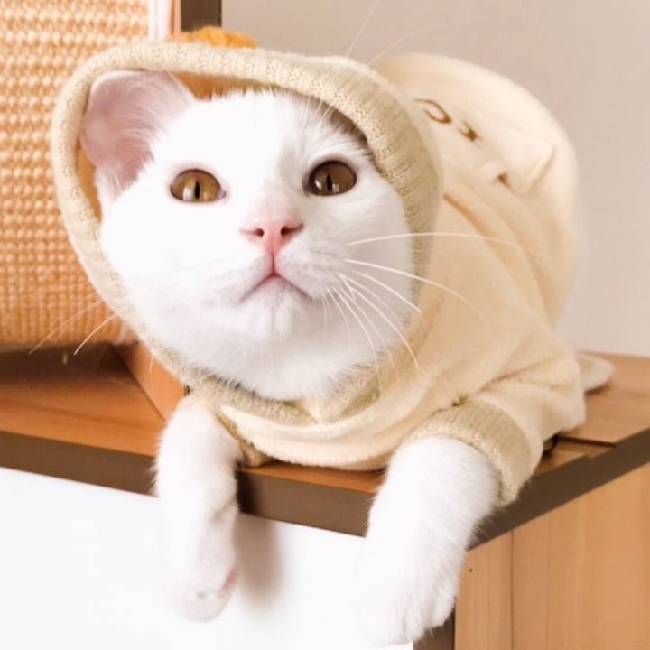 46f82a6a 64ab 47bb 92ed 63913bd4d708 1570678577691