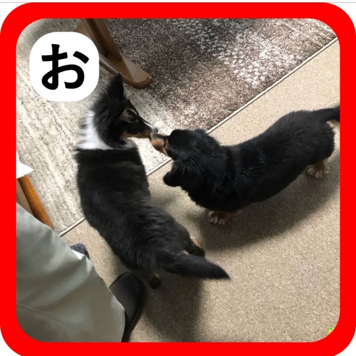 46f879b1 cc1c 4348 a218 aaa44950b052 1514802792476