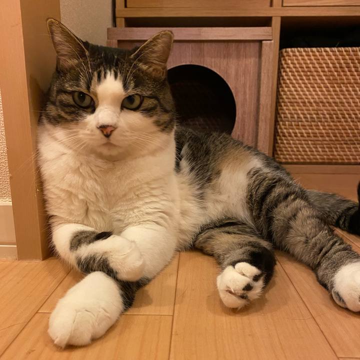 46f89c47 68a6 4f6a a634 09c0db1bf8f5 1696251524060