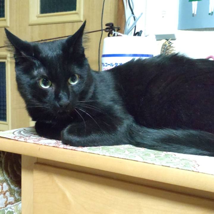 46f8b165 339b 4c4b 95e7 61cdf251993d 1640773104035