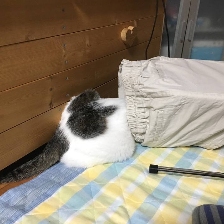 46f8ebc9 5e29 4acc 9bd4 ddec119da745 1525005767948