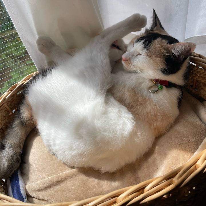 46f8f6a8 6285 43bf aec0 44602474d694 1715645816815