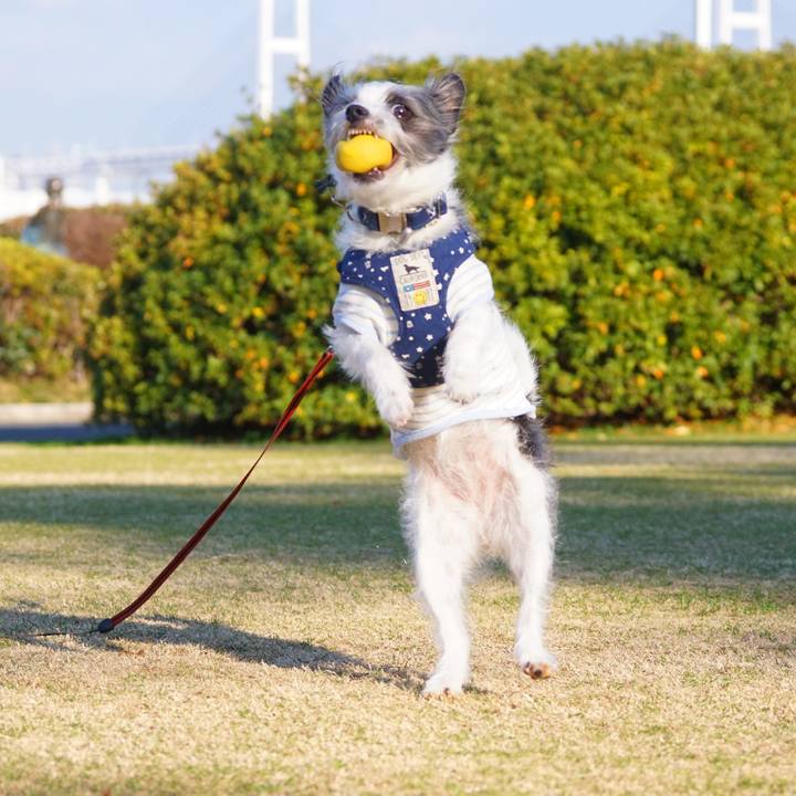 46f901d9 14fc 4496 82ed 6fd015d86a12 1579085113356