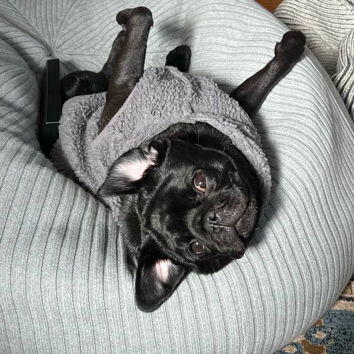 46f9152c 86a7 44f8 98c7 51b9b833e64c 1642908643935