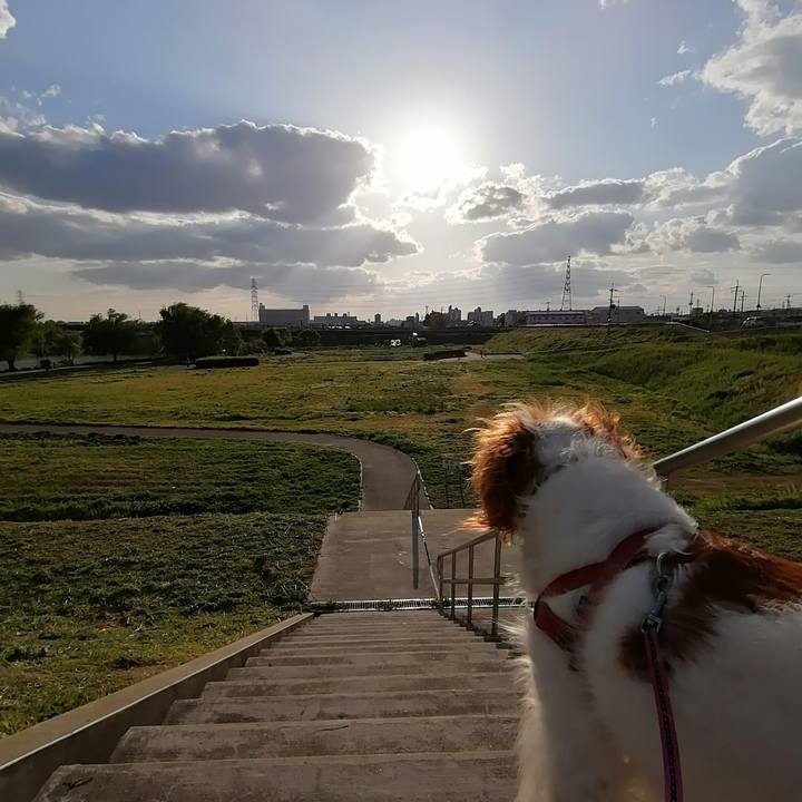 46f93092 b465 439c b8c3 d76fd9e3e25c 1619350321725