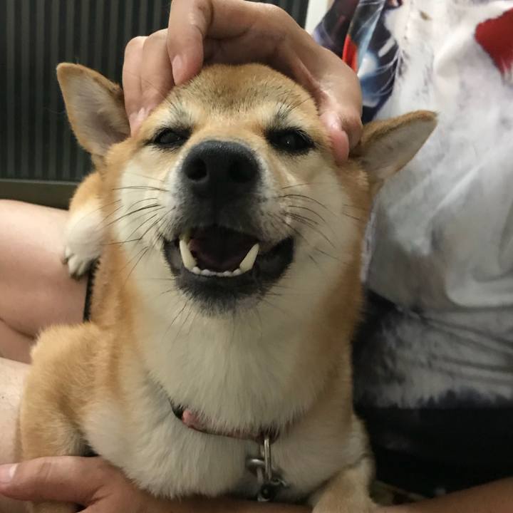 46f9396f 678b 417f 8a61 d286cec1bed8 1537844290392