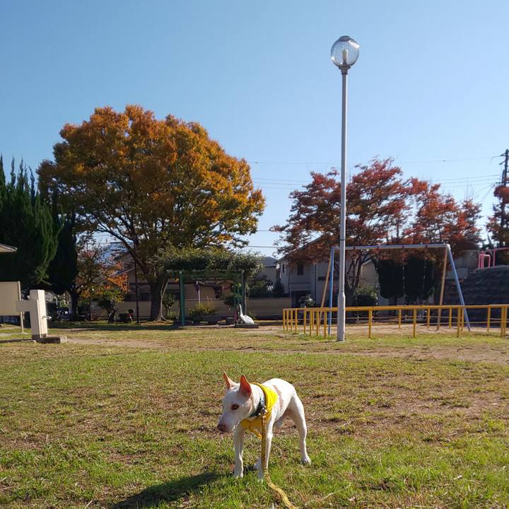 46f97ec3 b7aa 4221 8594 6b5cbed02787 1541552962264