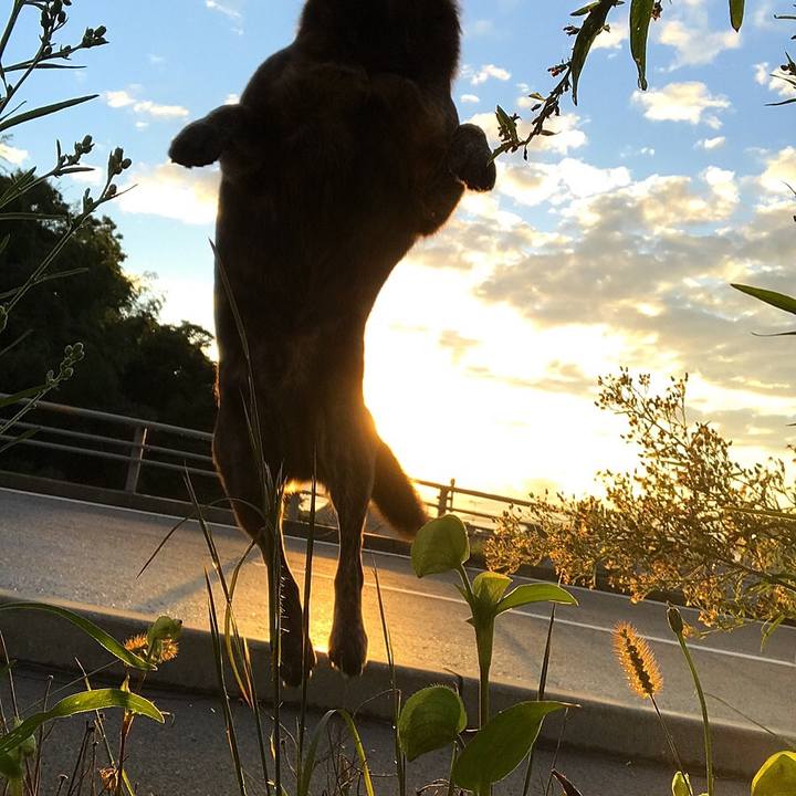 46f980ce 72ba 4207 b92e 7491ff15d641 1538041605073