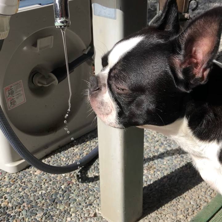 46f99bfa fab8 4db7 a068 ef80ff98a028 1534549761833