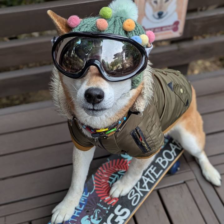 46f9a70f 7c31 449e 8f8b 097e4011ba61 1771305074758