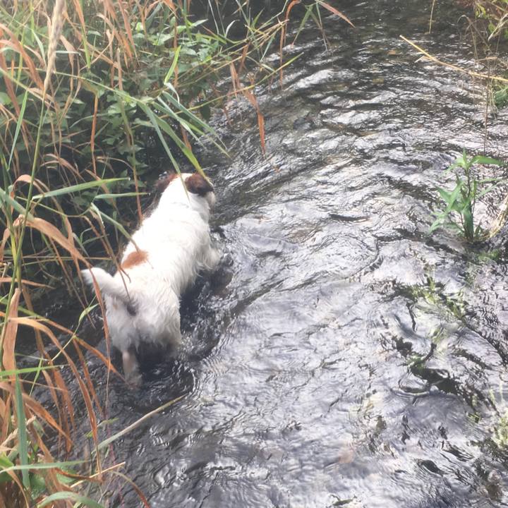 46f9afcb 9d38 48f0 8da4 fde6a4ddf577 1531696373668