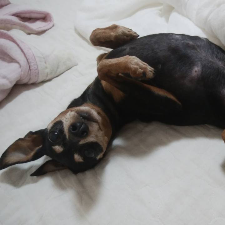 46f9f4aa d7df 4164 a185 3b8cece256cd 1762832344890