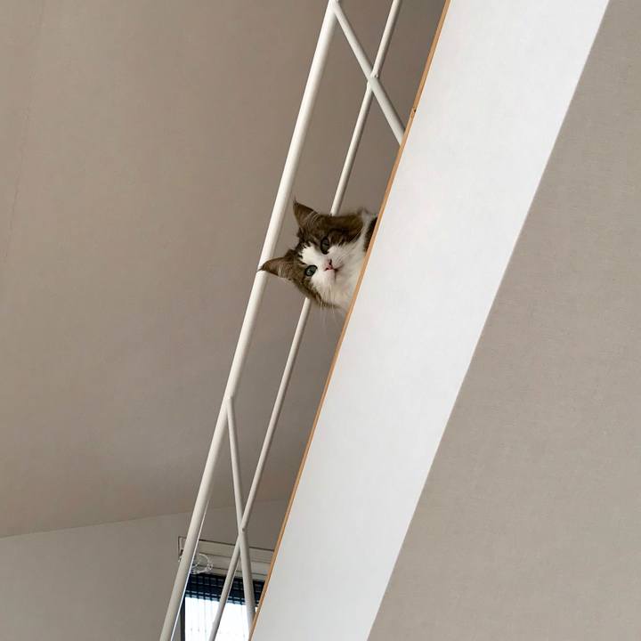 46f9f704 74a8 4689 bf78 5926fd8f3a10 1560239022285