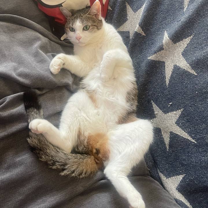 46fa9a7a 157b 4888 90f4 8ce6bf93cefb 1632364954398