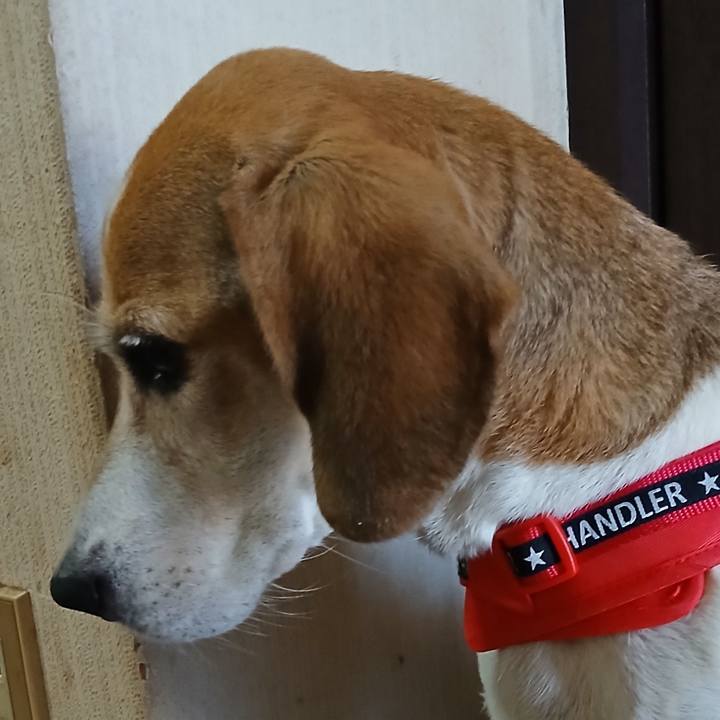 46faaa78 fa67 4aed 91ef 1254f227855d 1759058576081