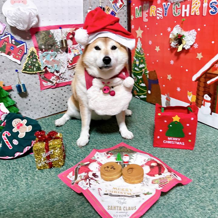 46fab2d1 a232 4ff0 ab4c 229a8801e875 1702543351689