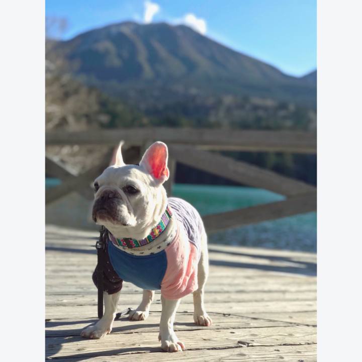 46fab5af 02ba 4474 b35b 42b77a58413d 1510647184975