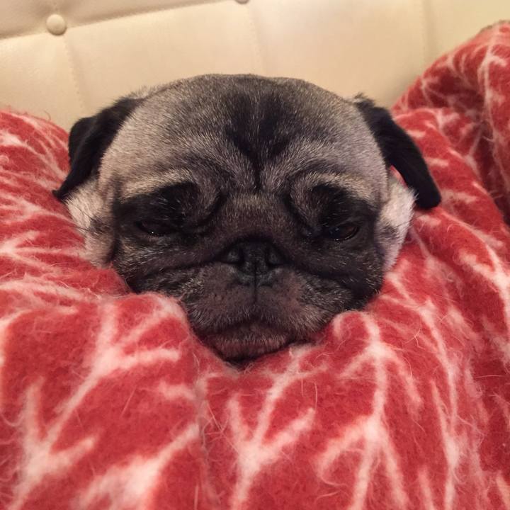 46faf7df ca9f 430b ae9d 3d31019f96af 1514369794762