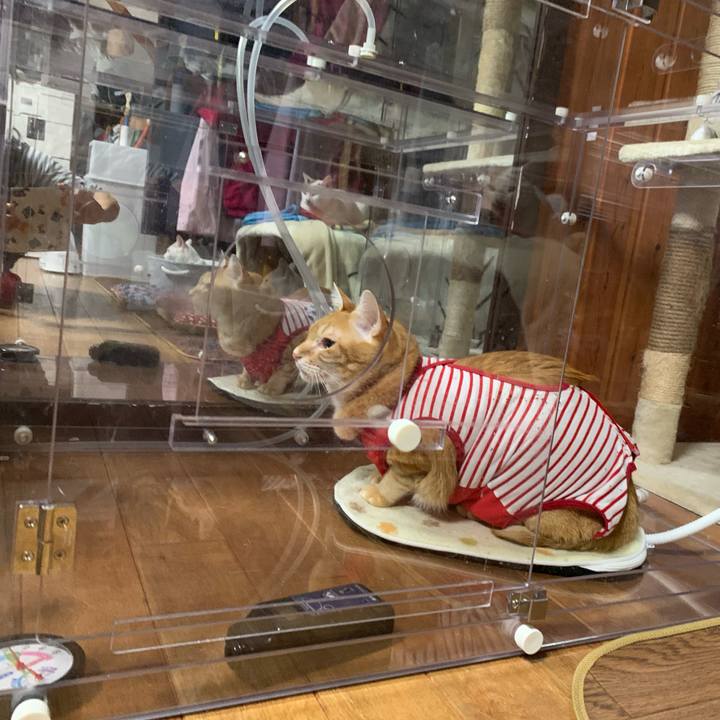 46fb246a 54d3 4dbb 8c00 4bb90f65a63b 1579882878065