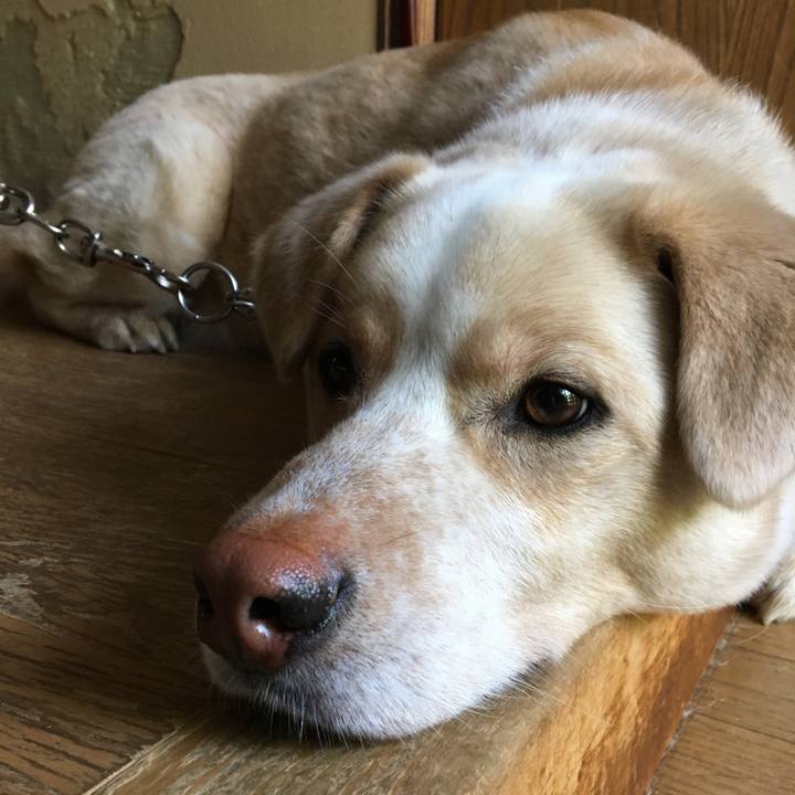 46fb33c2 0afd 46a1 8b49 b4d41dec44d6 1525129489926