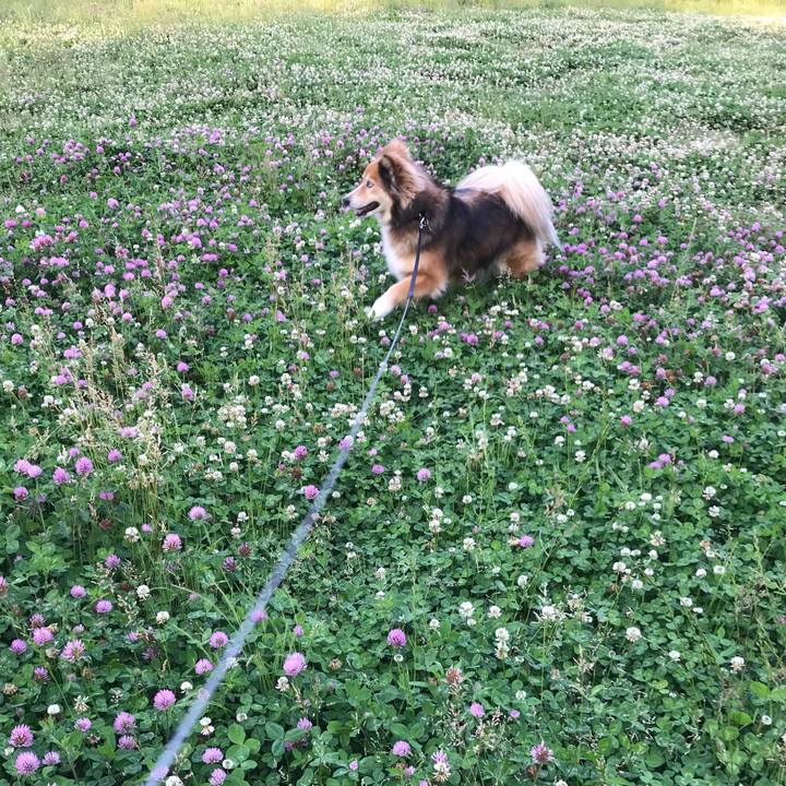 46fb36fa 14b4 4873 8d20 975e352c3db2 1526742080198