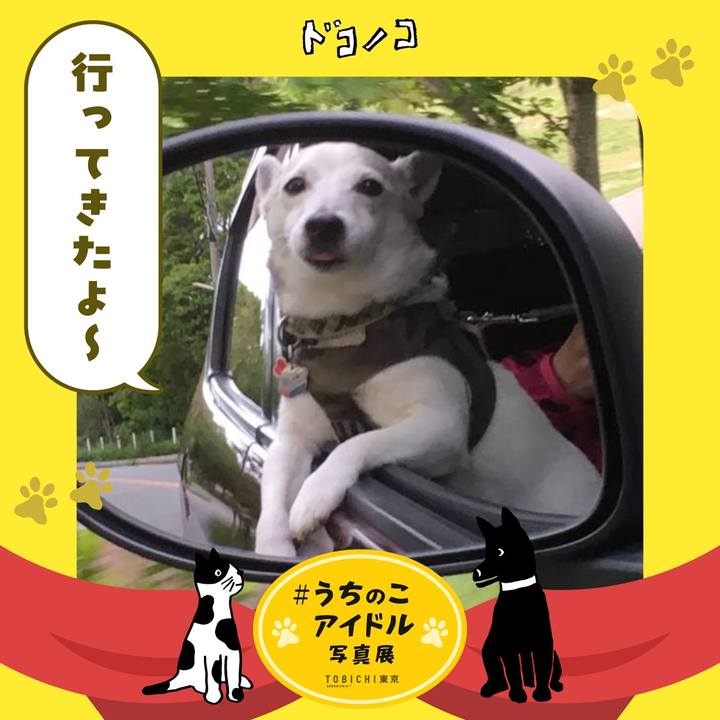 46fb4285 cc4f 4ba7 96d8 98308023e41d 1761776031045