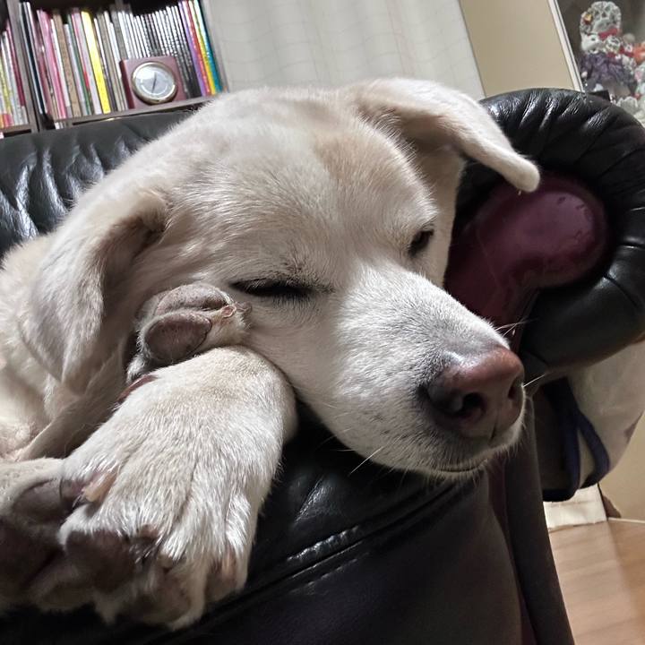 46fb4ad7 7bef 4e9d 8ac5 0e97c8cbb5a3 1768041095418