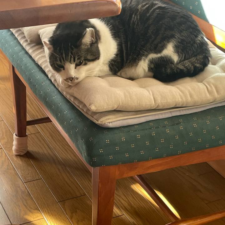 46fb6666 7fb1 4ad1 82fc 8074b36bb4c7 1733906570069