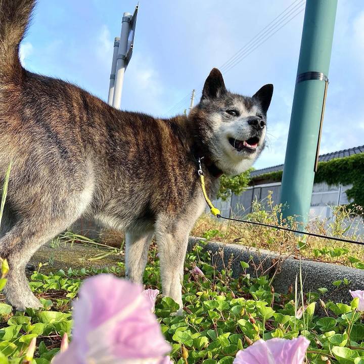 46fb9505 450b 412b 9516 63053764539d 1749682348666