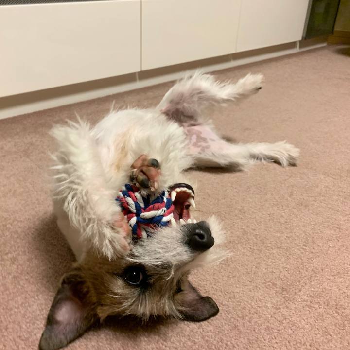 46fba049 f012 4490 a3eb 8c5dfab5f2d7 1580641180950