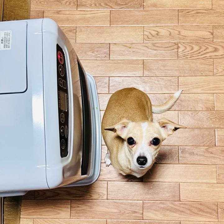 46fbcef7 9def 4f9e b01f 9a0ea74c9196 1703322655432