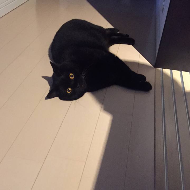 46fbe37b 89d3 4477 aa2c ee20ddc3020a 1595939075985