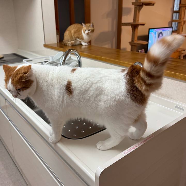 46fbf594 6187 49c8 8f33 150743bb4367 1773111268869