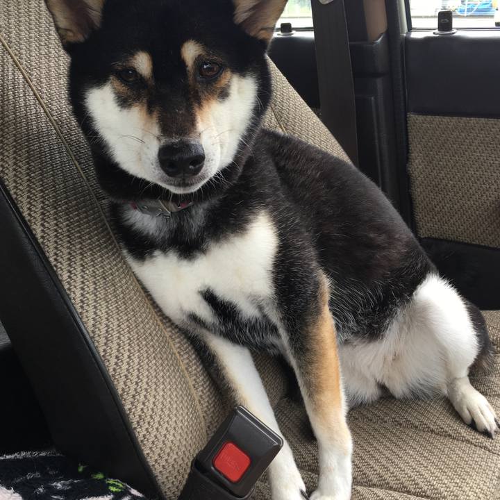 46fbf649 2d1f 40fd 9f15 ff6f05f6b010 1629536693384