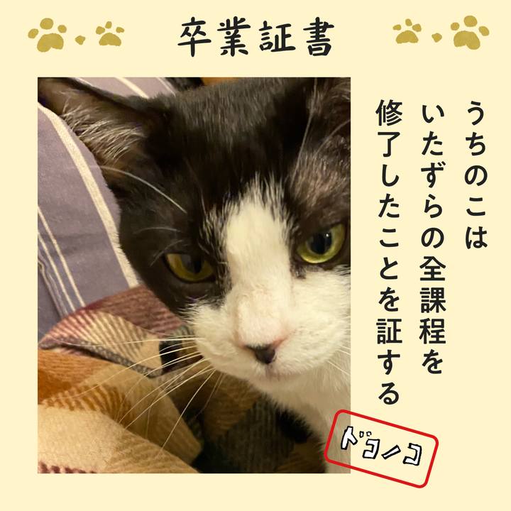 46fbfa87 f6b8 4986 87a6 9bca2b69b8af 1771935358392