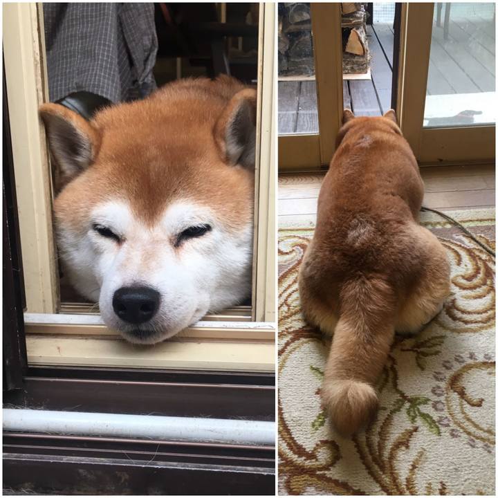 46fc4a10 0aff 4485 b65d fbbe755ed948 1570316849701