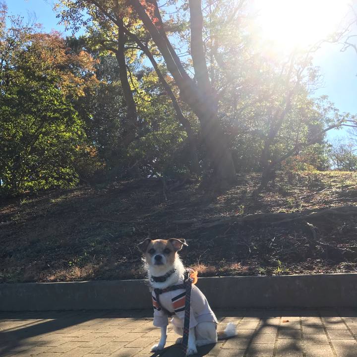 46fc8f25 40be 48fa aa77 6014926e02c8 1542250585045