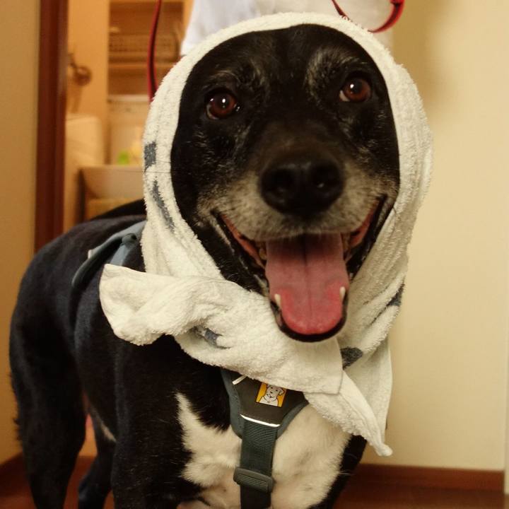 46fca425 c6f2 416b 8eda 0009525a7f21 1746011407063